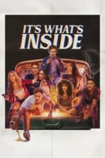 It's What's Inside (2024)