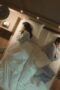 Queen of Tears Season 1 Episode 3