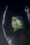 Jurassic World: Chaos Theory Season 2 Episode 4