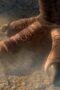 Jurassic World: Chaos Theory Season 1 Episode 4