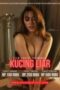 Kelas Bintang - Kucing Liar di Rumahku (2022)